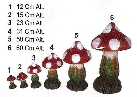 COGUMELO - C/ BASE 5